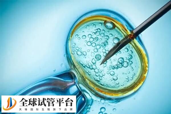 乌克兰试管成功率比我国高