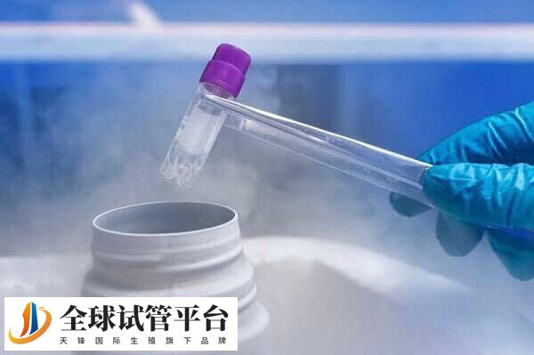 精子冷冻解冻后要保持结构和功能