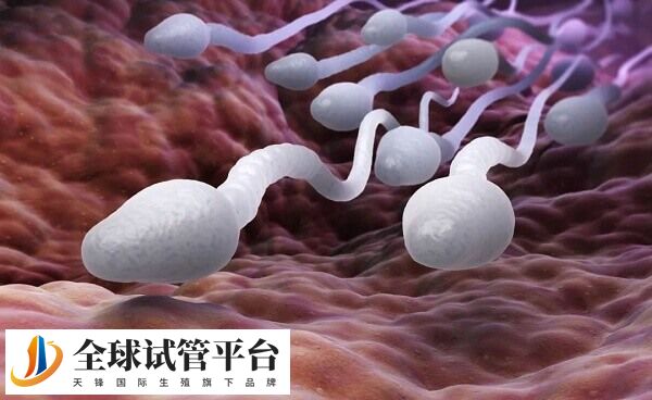 冷冻精子对精子活动能力有一定影响