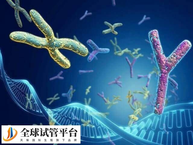 精子DNA的完整性受损可能是冷冻造成的