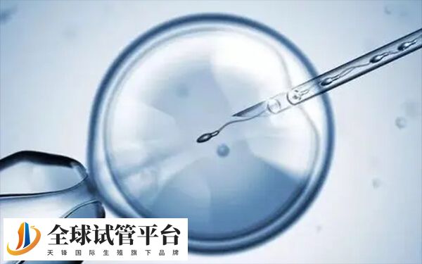 第三代试管婴儿是现阶段成功率最高的技术