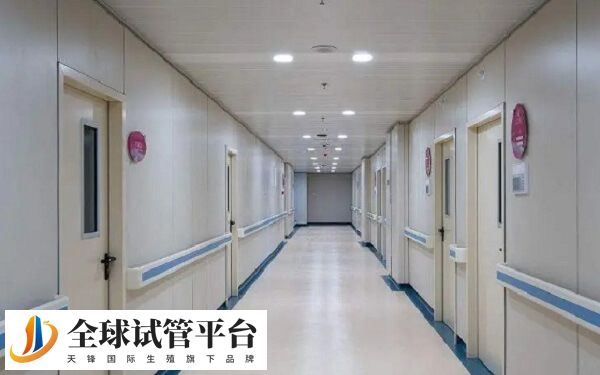 新鲜胚胎移植的标准病人临床妊娠率达到50%