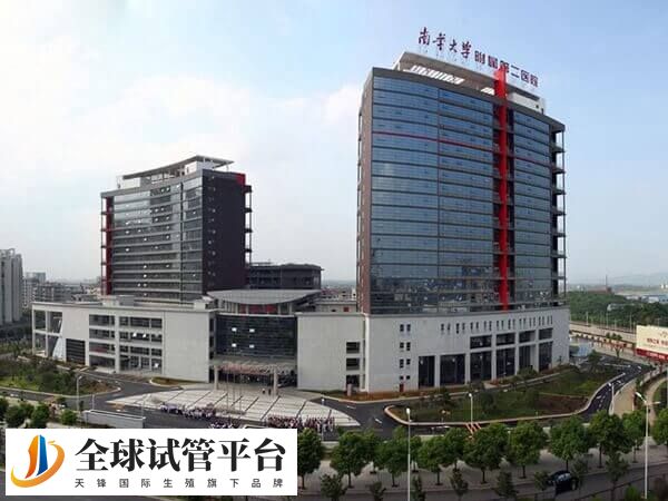 衡阳试管哪个医院成功率最高