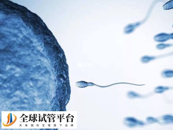 菏泽中医院试管婴儿做得好不好