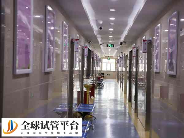 杭州可以做第三代试管婴儿的医院有2家