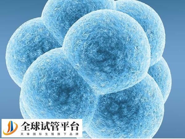 高龄做试管成功率低