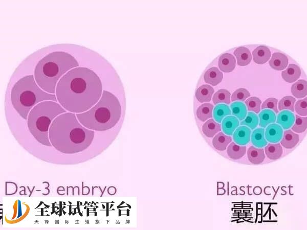 高龄女性养囊也有要求