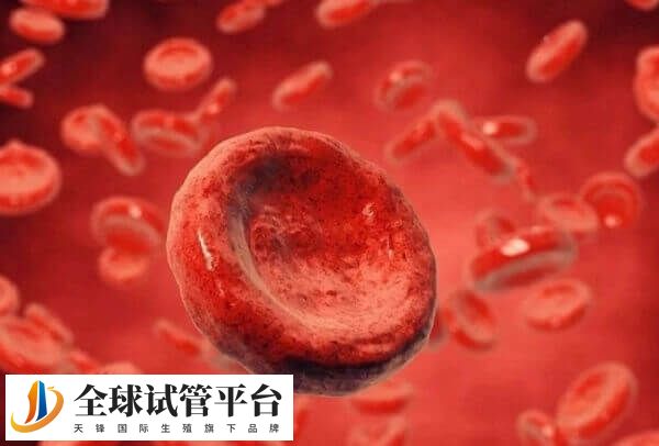 轻型地贫对生长发育无太大影响