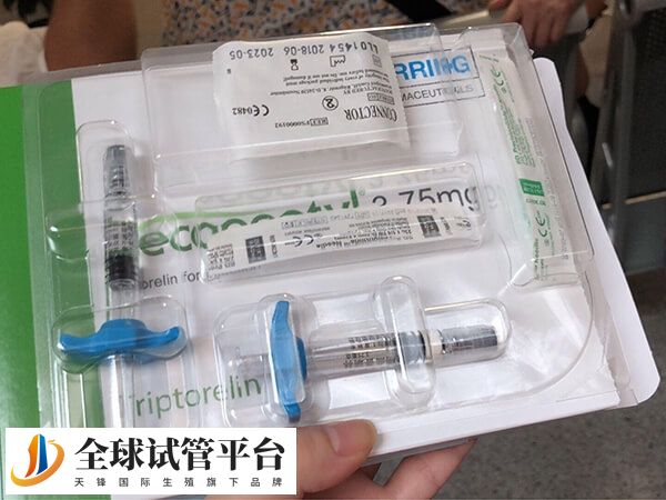 黄促方案促排周期为30天左右