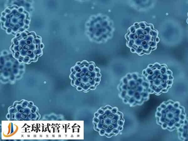 腮腺炎病毒对睾丸具有特殊的亲和力