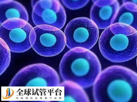 染色体数目或结构发生异常时称为染色体异常