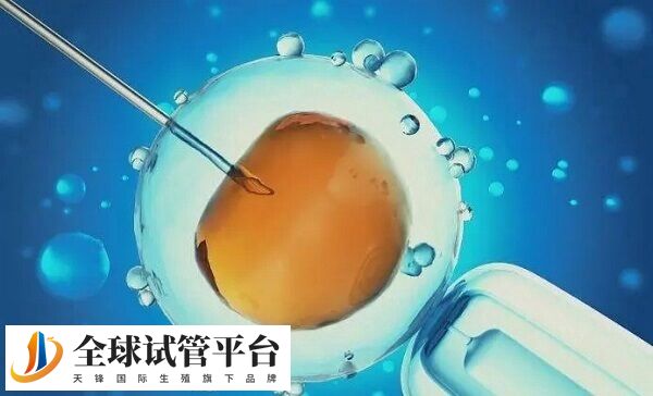 胎染色体异常会导致胎停或流产