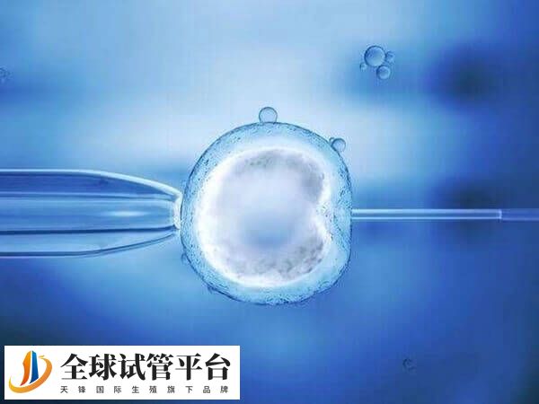 年轻患者试管婴儿成功率更高