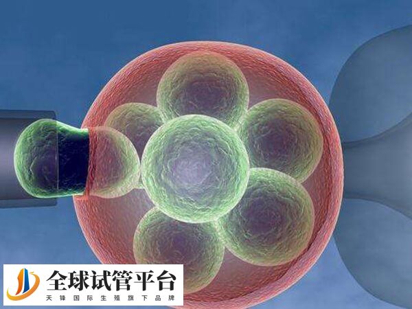 家族结肠息肉做试管婴儿的成功率因人而异