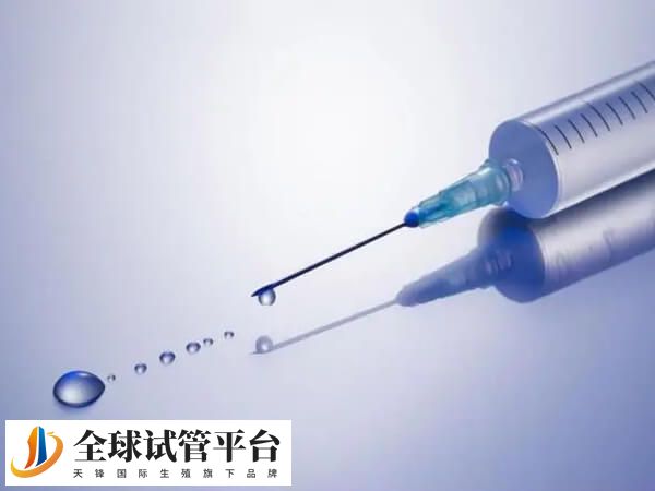 拮抗剂方案是一种比较灵活的方案