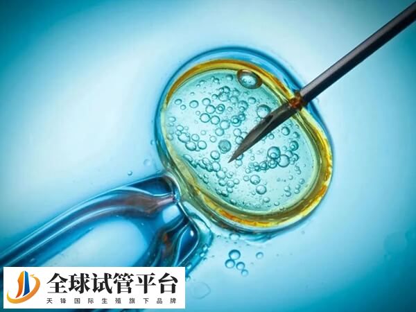 拮抗剂方案注射方法比较简单