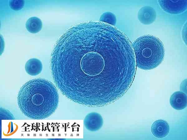 拮抗剂方案失败后女性是可以选择换其他方案的