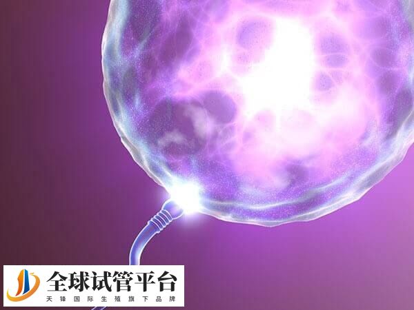 沈阳能做试管婴儿的医院有哪些