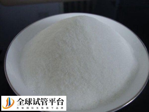 精氨酸是一种人体必需氨基酸