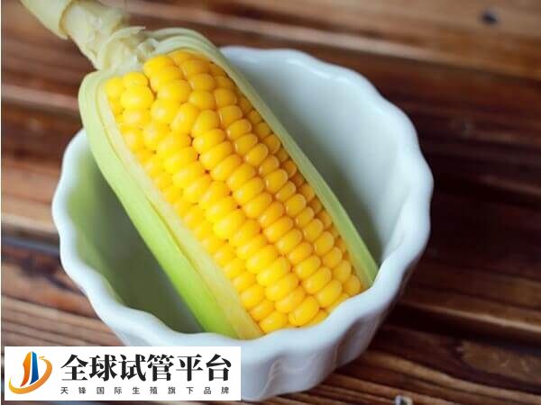 鲜胚移植后吃玉米能预防便秘