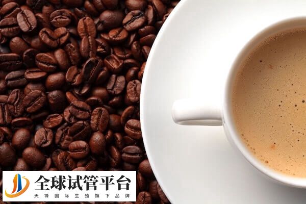 移植后喝咖啡会导致胎儿畸形