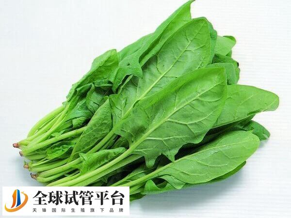 试管移植后可少量吃菠菜