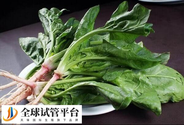 移植后适量食用菠菜有补血作用