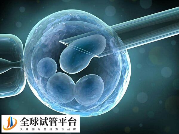 茂名人民医院试管婴儿怎么样 茂名 茂名市人民医院