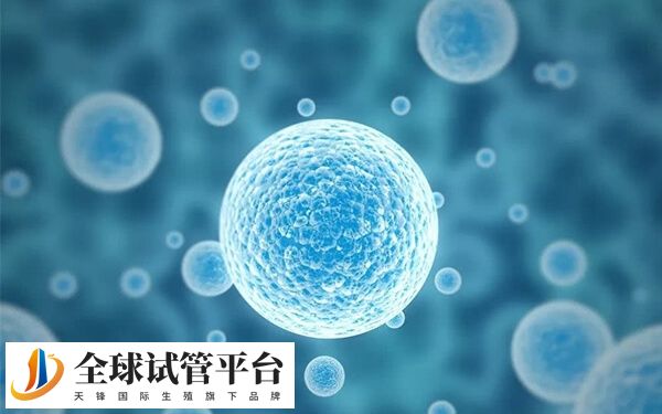 呕吐对试管胚胎着床的影响不能一概而论