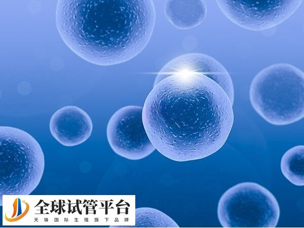 卵子是不可再生资源