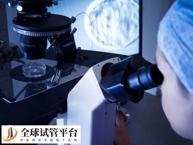 取卵方式有普通方式和无痛方式这两种