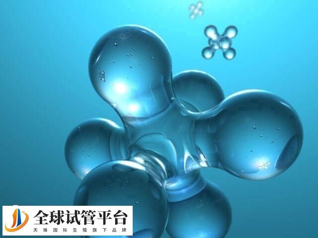 正常人类体细胞为二倍体