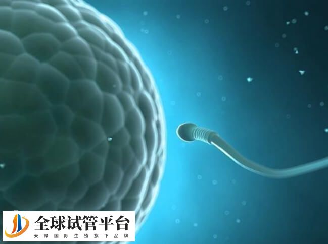 肾小管发育不全的病因较为复杂