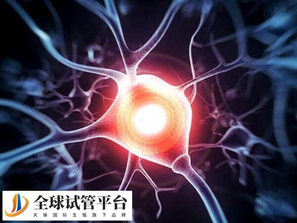 神经纤维瘤的病是一种常染色体显性遗传病