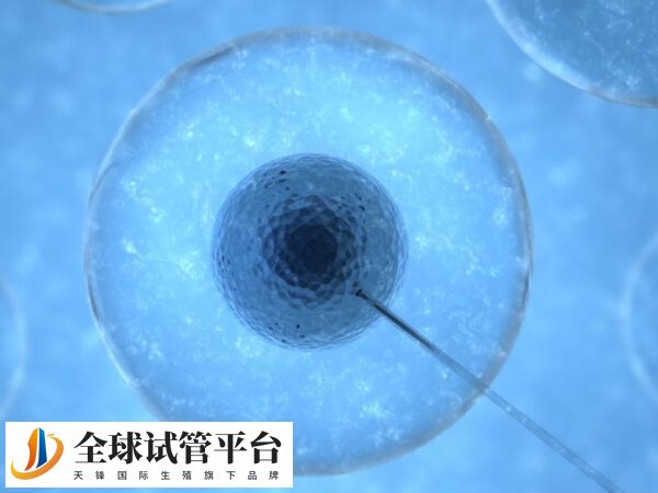 做试管婴儿移植前若是出现轻微胃胀