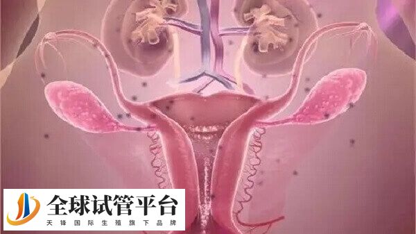 过量注射果纳芬会导致卵巢过度刺激