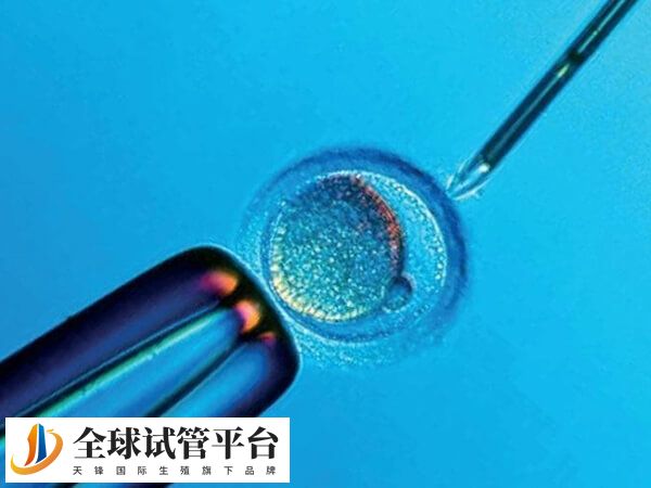 试管婴儿的最佳季节并没有绝对标准