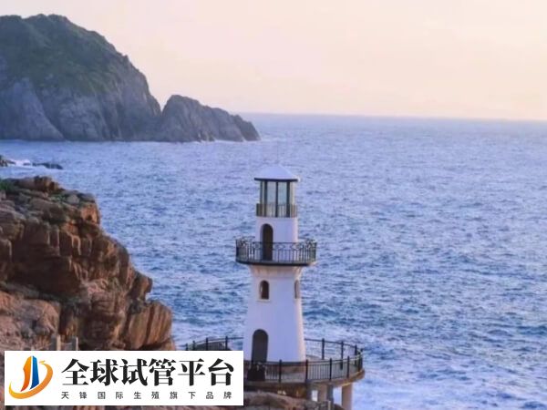 试管婴儿的成功率与季节无关