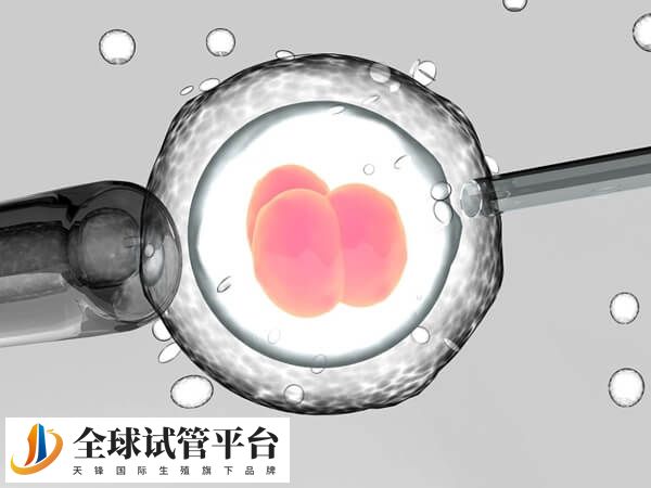 试管婴儿是一种人工生殖技术