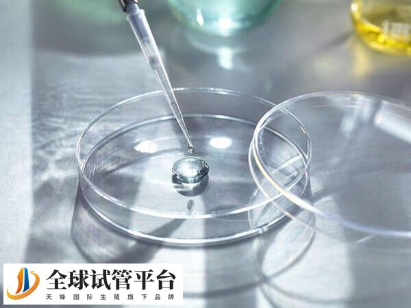 PCOS患者卵泡多但发育不同步