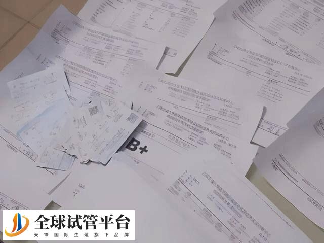 北京301医院试管婴儿费用大概多少