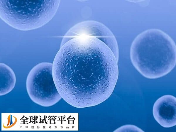 拮抗剂取卵费用低