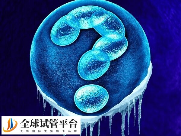 鲜胚移植对身体素质要求高