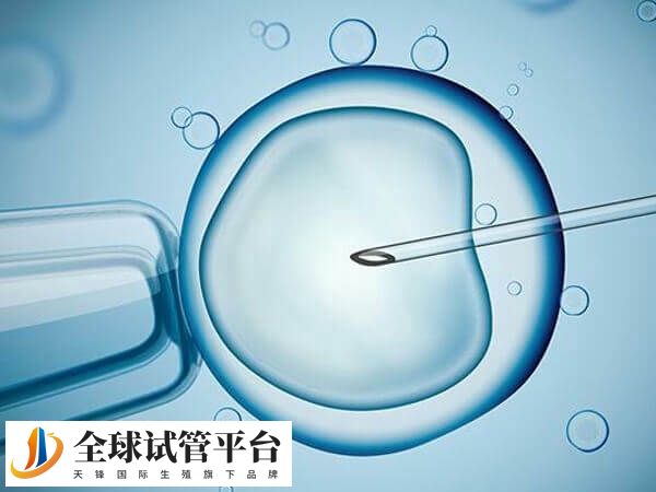 节省试管费用的方法