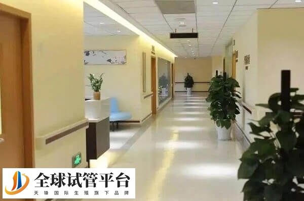 攀枝花市妇幼保健院院内