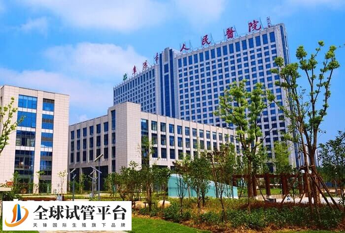 阜阳市人民医院试管婴儿价格多少