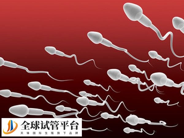 Ⅲ级a级表示精子快速直线前向运动