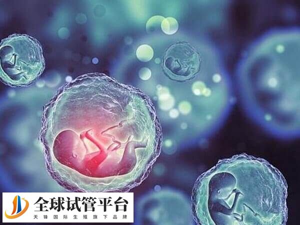 做试管婴儿现在都提倡单胚移植