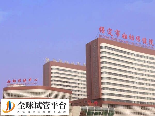 保定试管婴儿医生有哪些