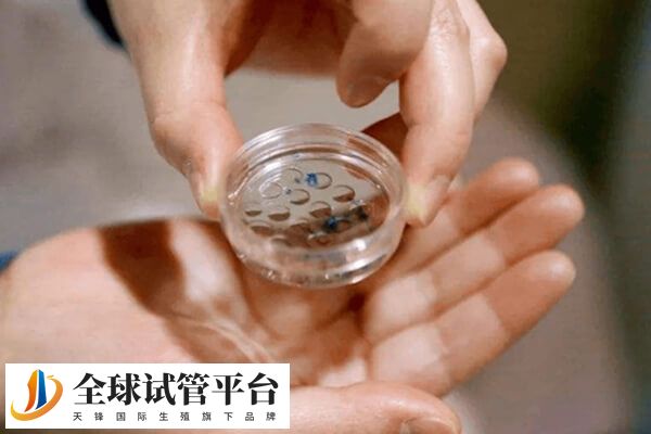 济宁有一家三代试管医院